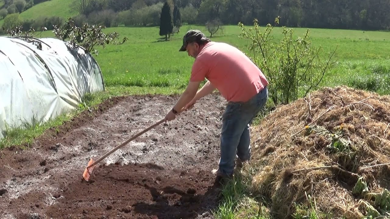 Judías verdes, cultivo fácil || Consejos, guía practica. #judias