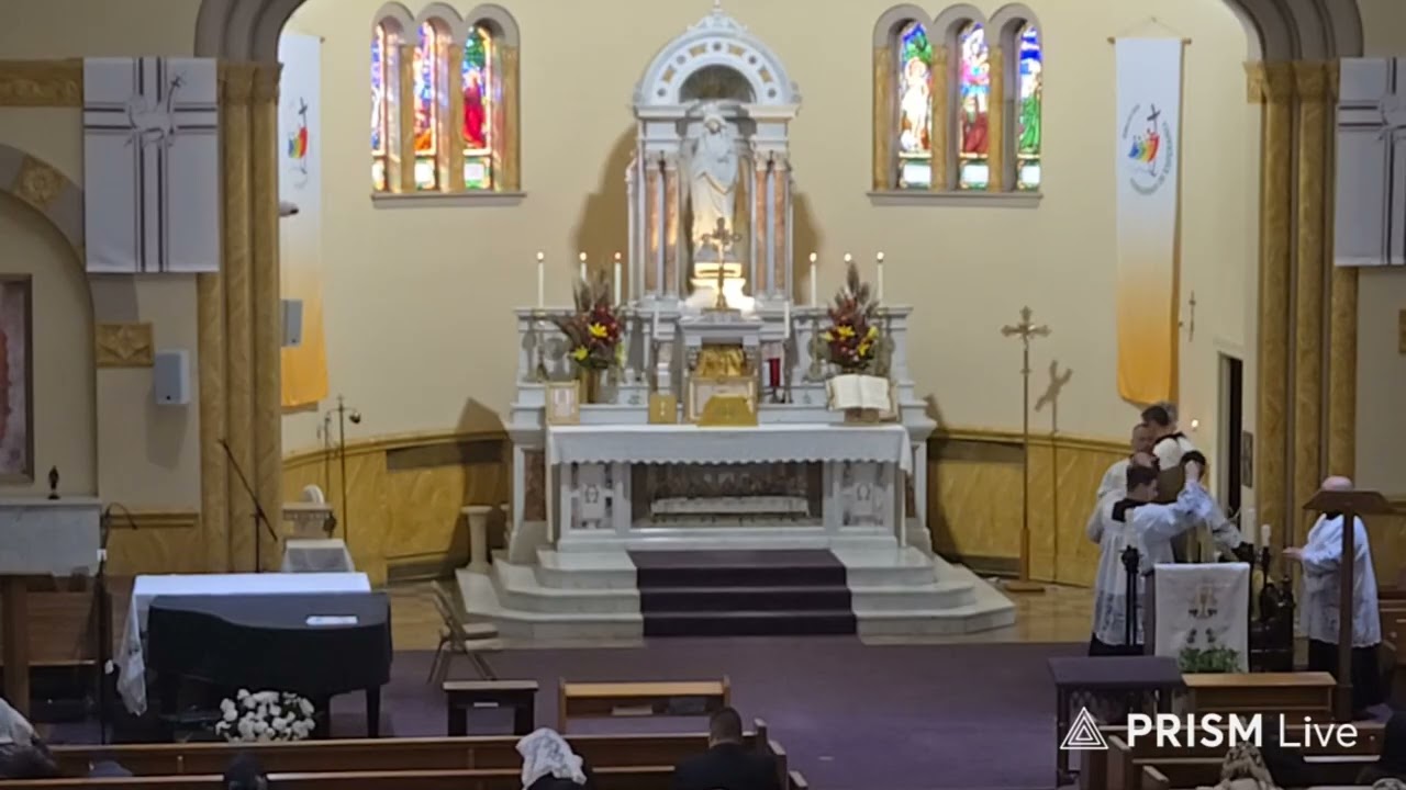 Dedication of The Archbasilica of The Most Holy Savior 2025