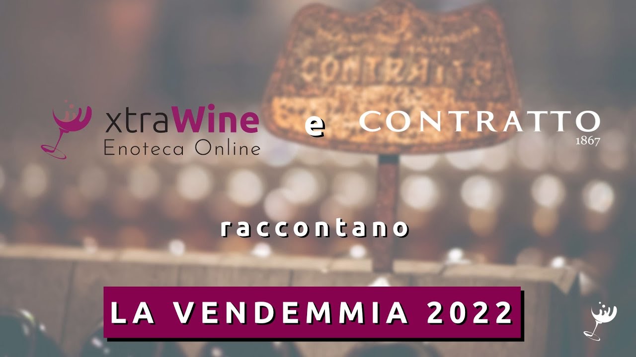 La VENDEMMIA e lo SPUMANTE da Contratto-La Spinetta