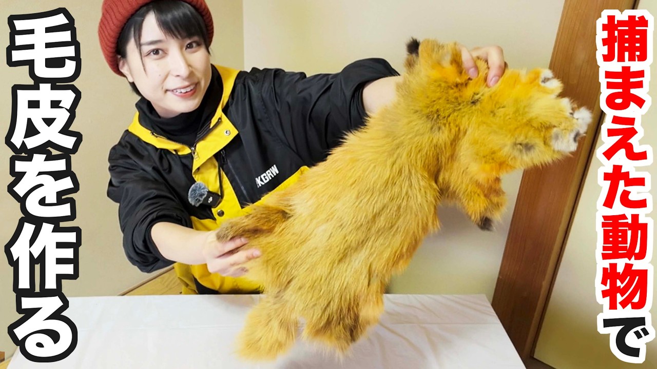 【毛皮作り】超簡単！テンの毛皮を絨毯にしてみた！【ミョウバンなめし】
