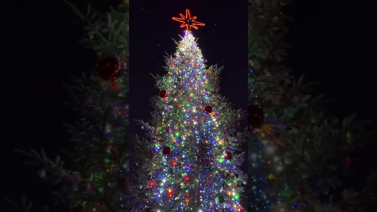 Паломницька поїздка вихованців ХДС до Почаївської Свято-Успенської Лаври