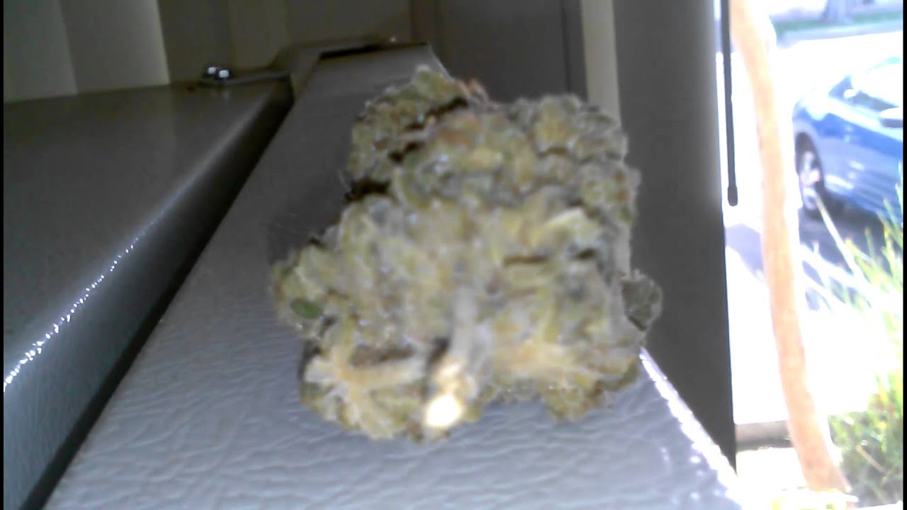 Afgoo-HD Weed Porn