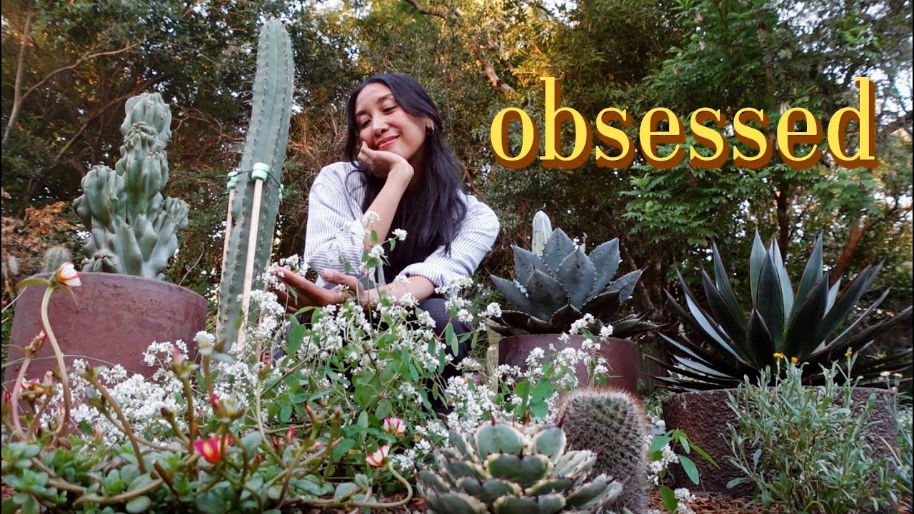 Flowering Plants I LOVE to Pair with Cacti | Chores & Chat