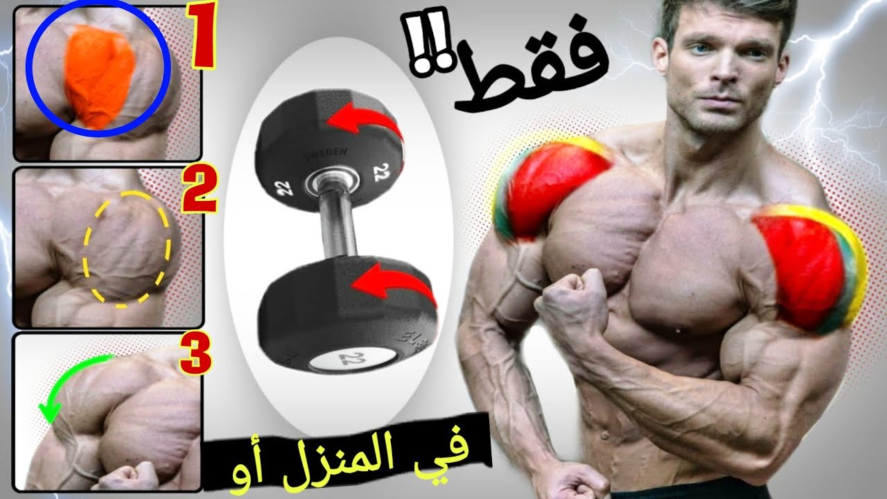 تمارين الكتف في البيت أو النادي بستخدام الدمبل فقط - Dumbbell / at home