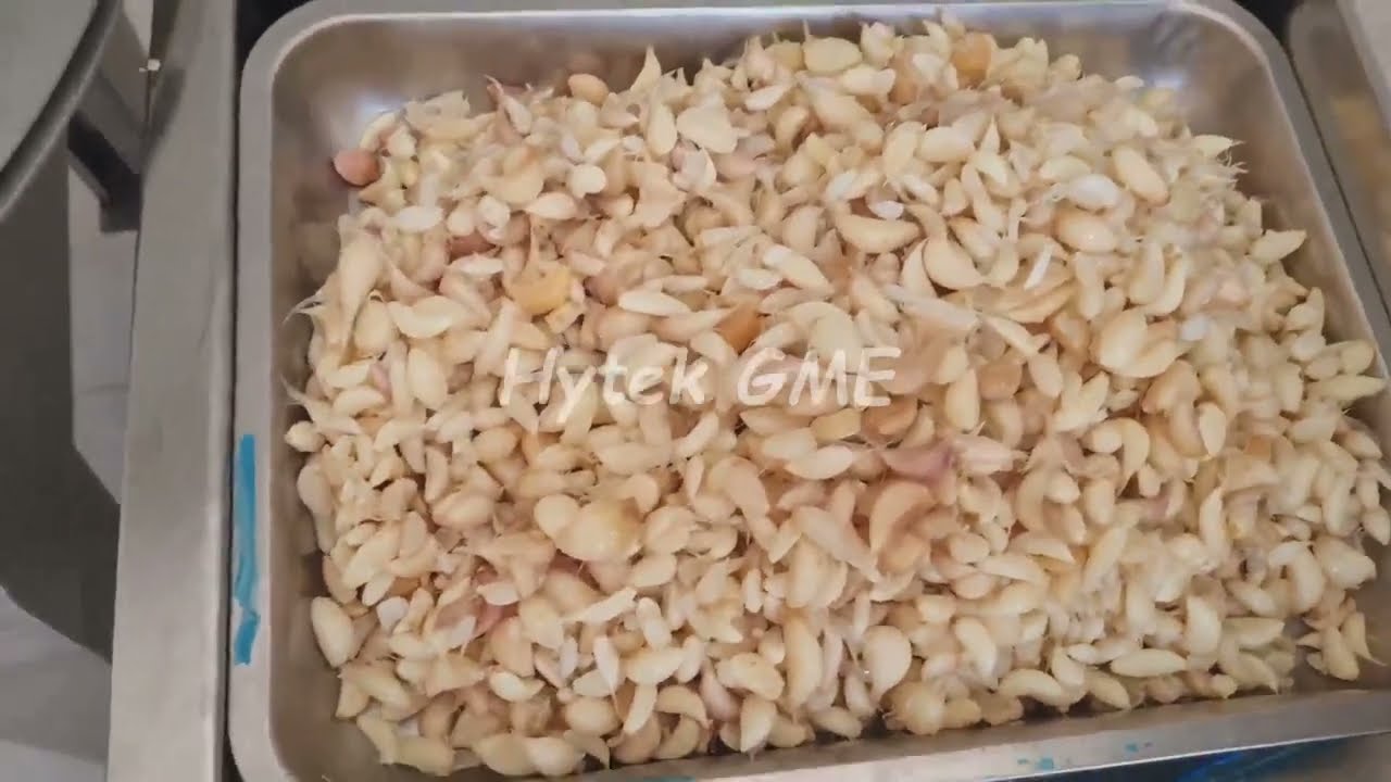 Heavy Duty Garlic Bowl Chopper | Commercial  Bowl Cutter for Onion, Cabbage, Ginger ,Chilly, Meat
