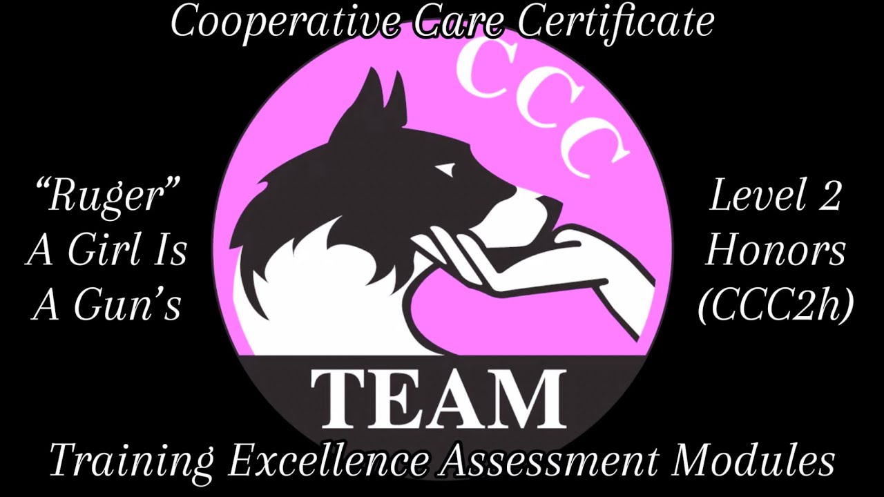 “Ruger” A Girl Is A Gun’s Fenzi TEAM Cooperative Care Certificate Level 2 Honors (CCC2h)
