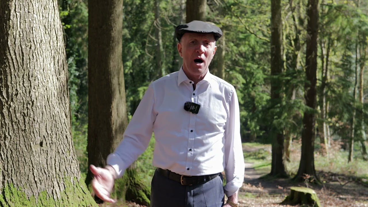 Minister Healy-Rae on Forestry