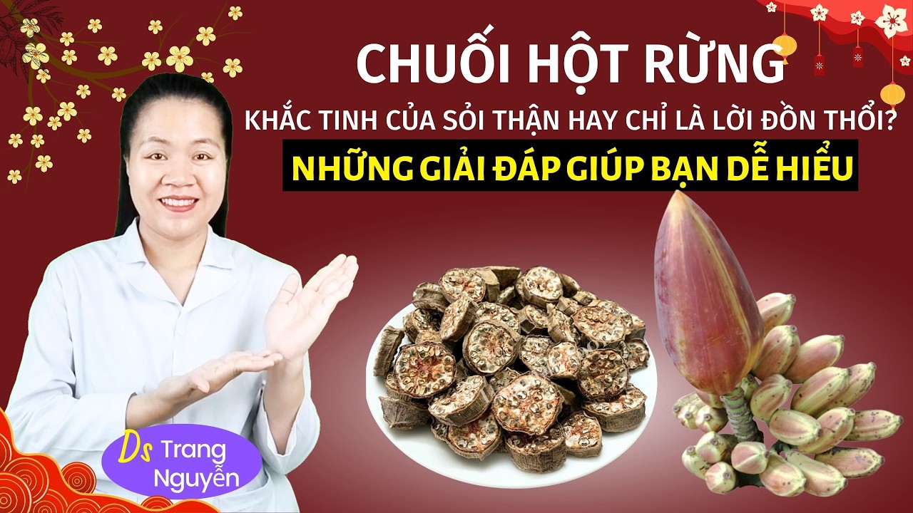 Sự Thật Về Chuối Hột Rừng: 