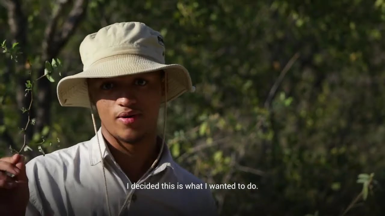 This is Bushwise!