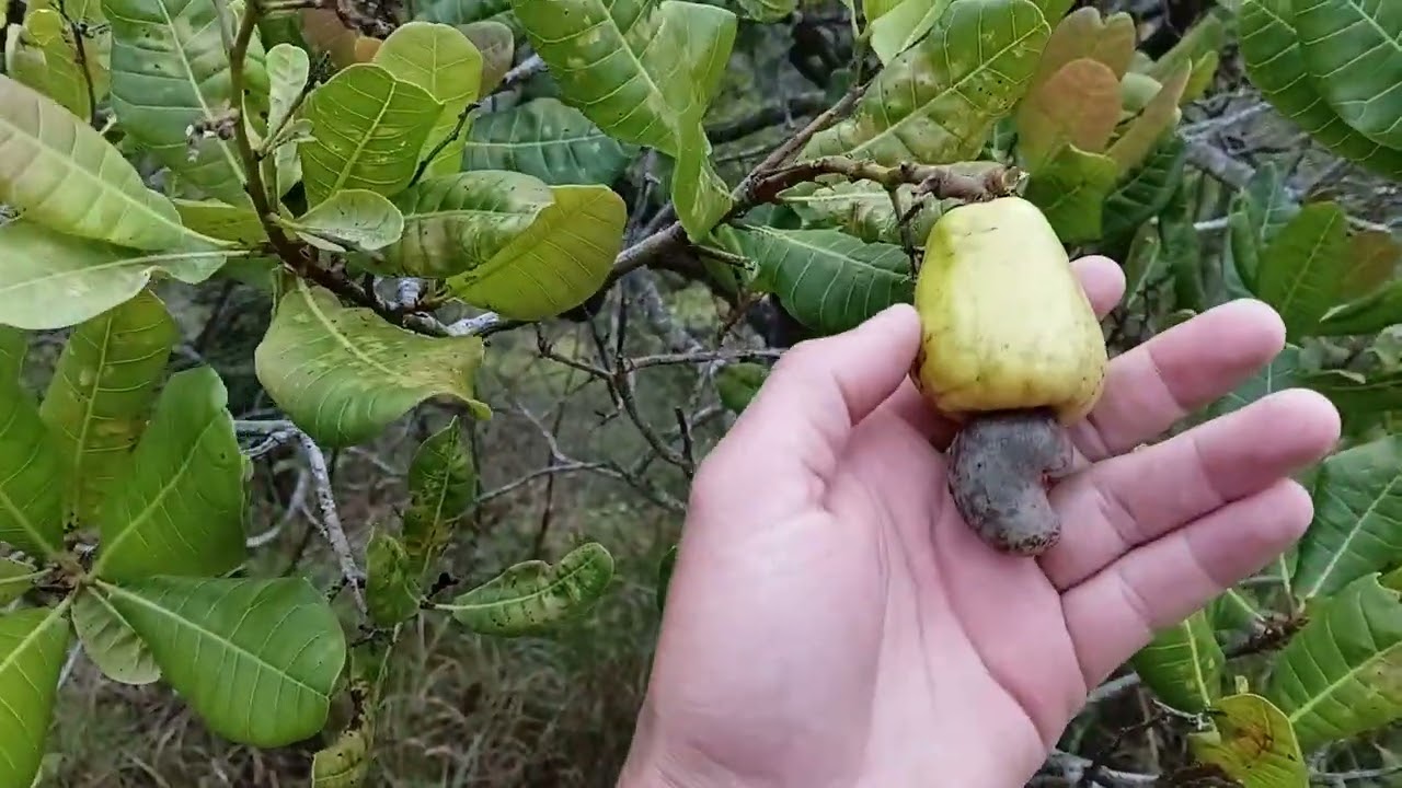 Amanhecer  no lugar  lindo  desse  e uma maravilha de Deus 