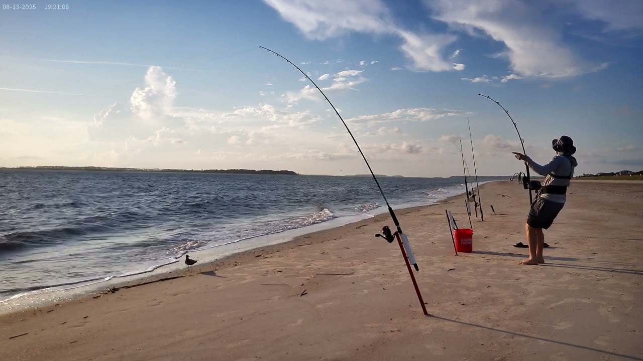 Edisto Beach Surf Fishing
