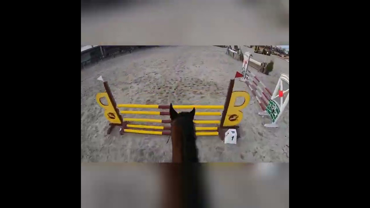 Crossen jullie mee?🤩🐎