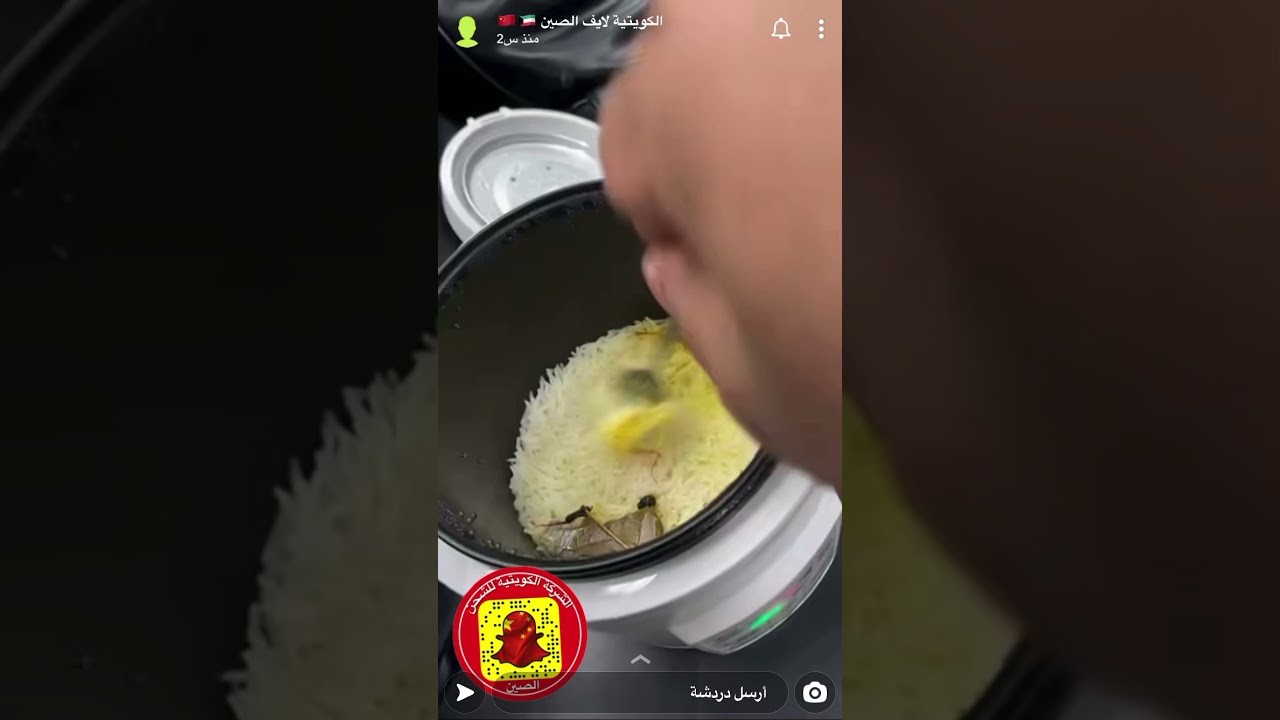 معلومات عن مكينة الآيسكريم نكهة واحدة +  تجربة قدر العيش المتنقل #الصين #كوانزو #لايف_الصين