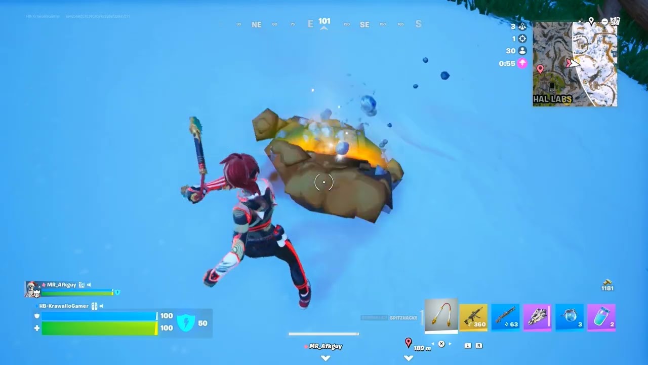 Fortnite with AFKguy