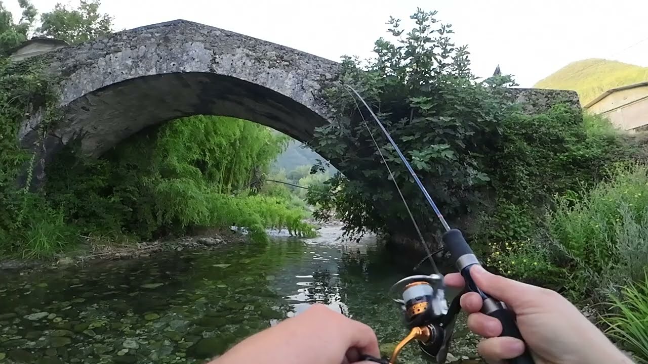 Trote torrente 2024
