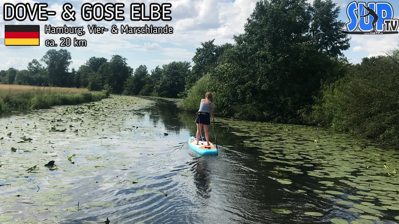 SUP-Tour in HAMBURG: Dove-Gose Elbe Rundkurs (20 km) in den Vier- & Marschlande | Ein Geheimtipp?