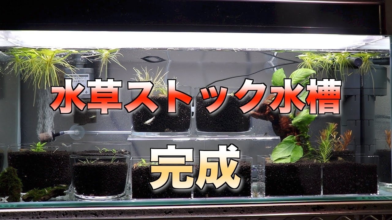 【アクアリウム】水草ストック水槽＋ミスト式水槽　２台同時立ち上げ立ち上げPart4（水草ストック水槽　完成）