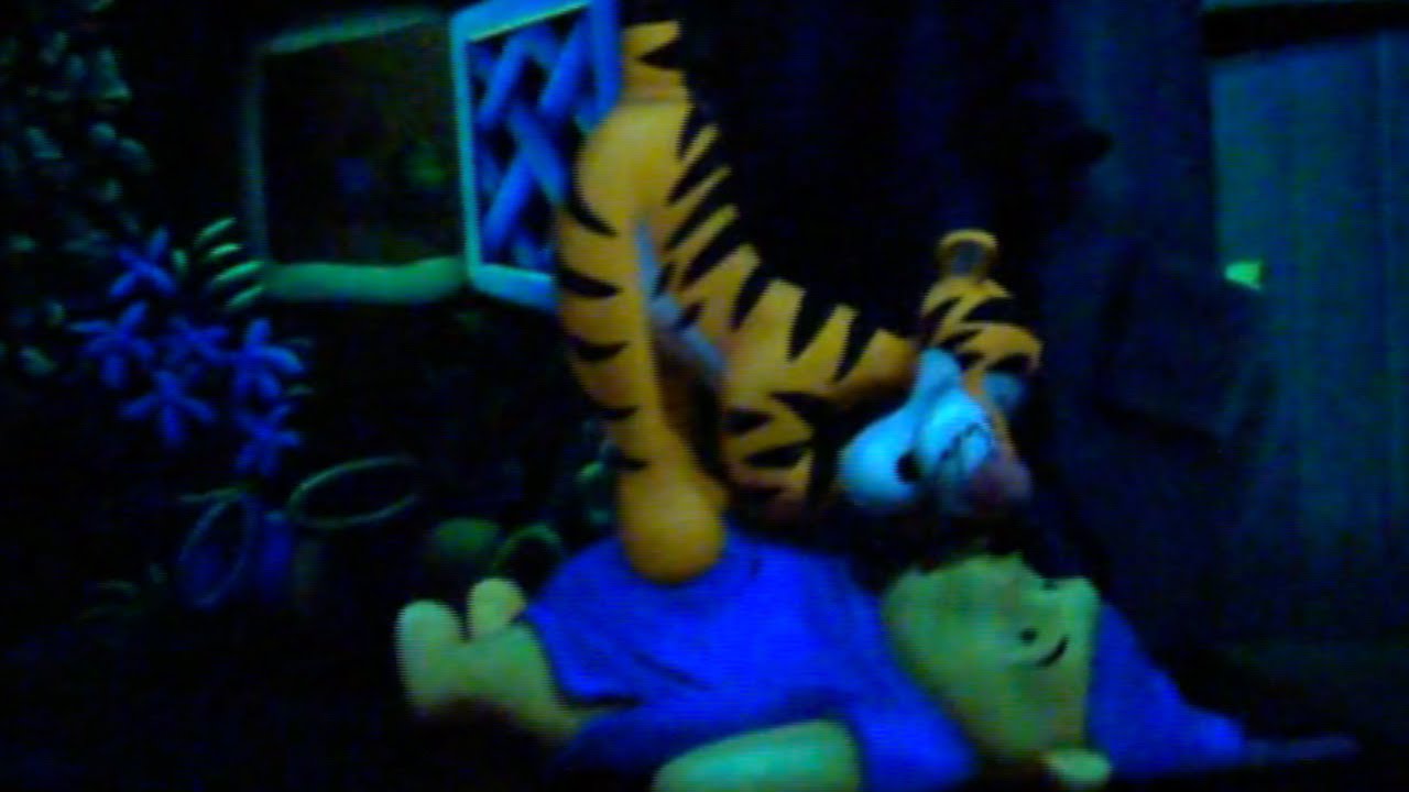 The Many Adventures of Winnie the Pooh, Magic Kingdom, Walt Disney World HD (1080p)