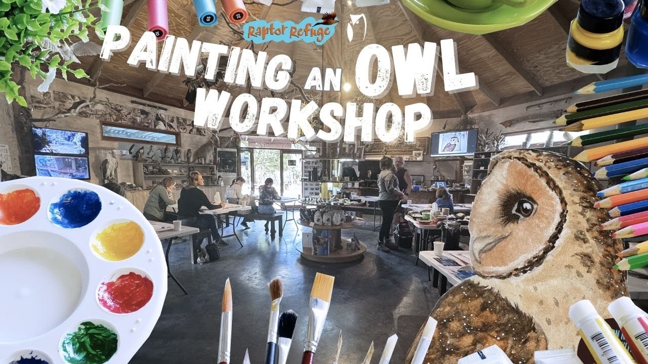 OWL PAINTING WORKSHOP