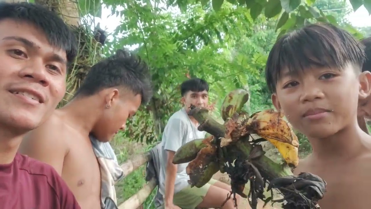 Bukirang bahagi sa lungsod sa tuburan | barangay gaang