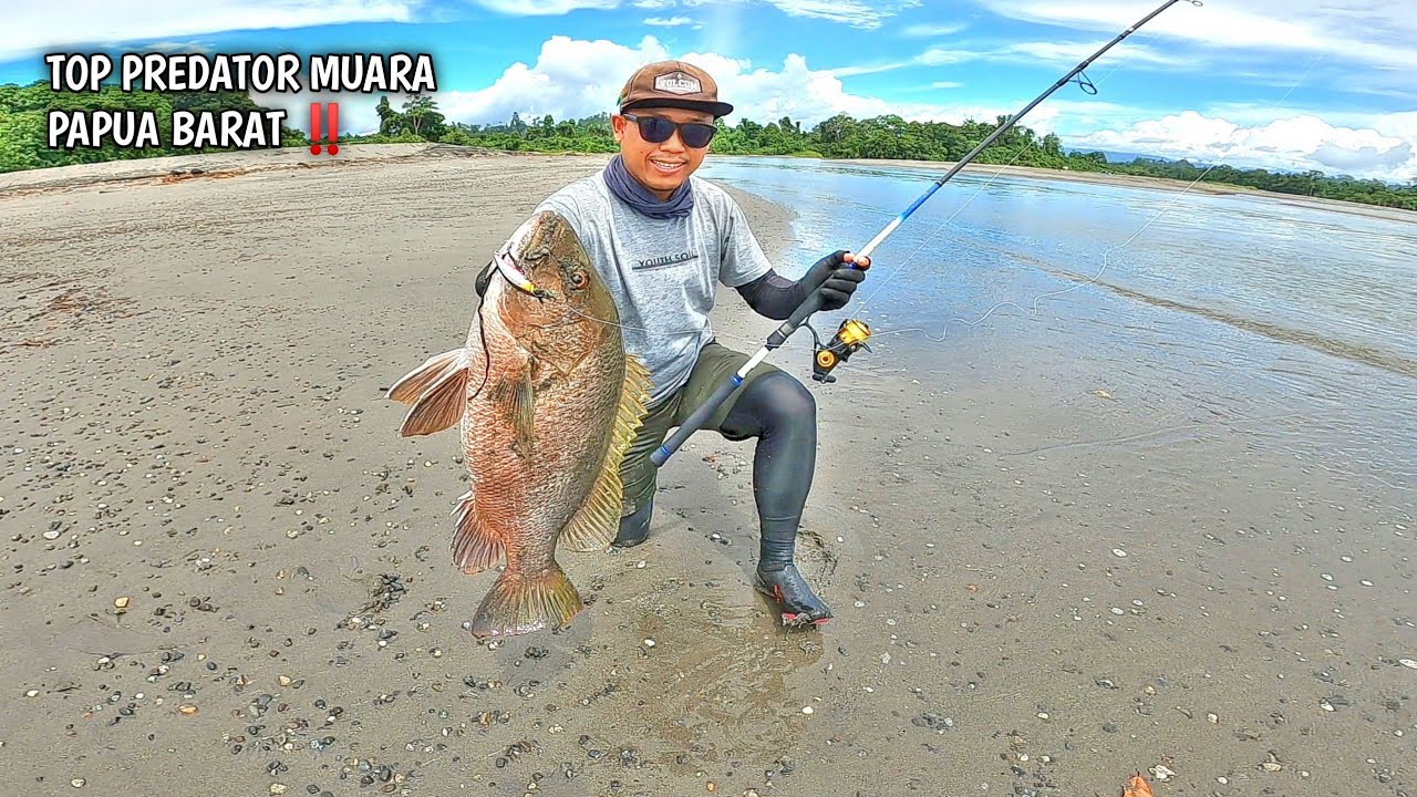 SPOT TERSEMBUNYI DI HUTAN ‼️ REEL MENJERIT PESTA STRIKE MONSTER PREDATOR MUARA - PAPUA BARAT