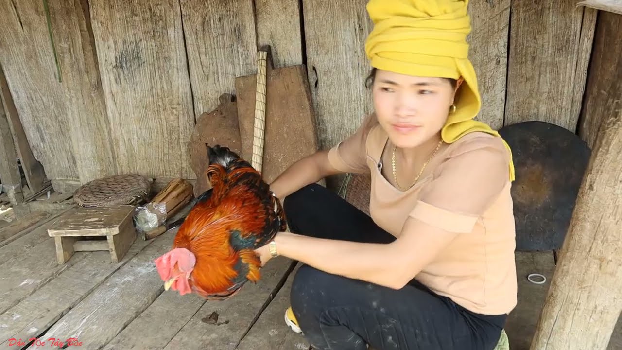 Một Ngày Đi Làm Về Với Món Gà Siêu Già | Cách Luộc Gà Già  Mềm , Giòn Không Bị Khô Thịt