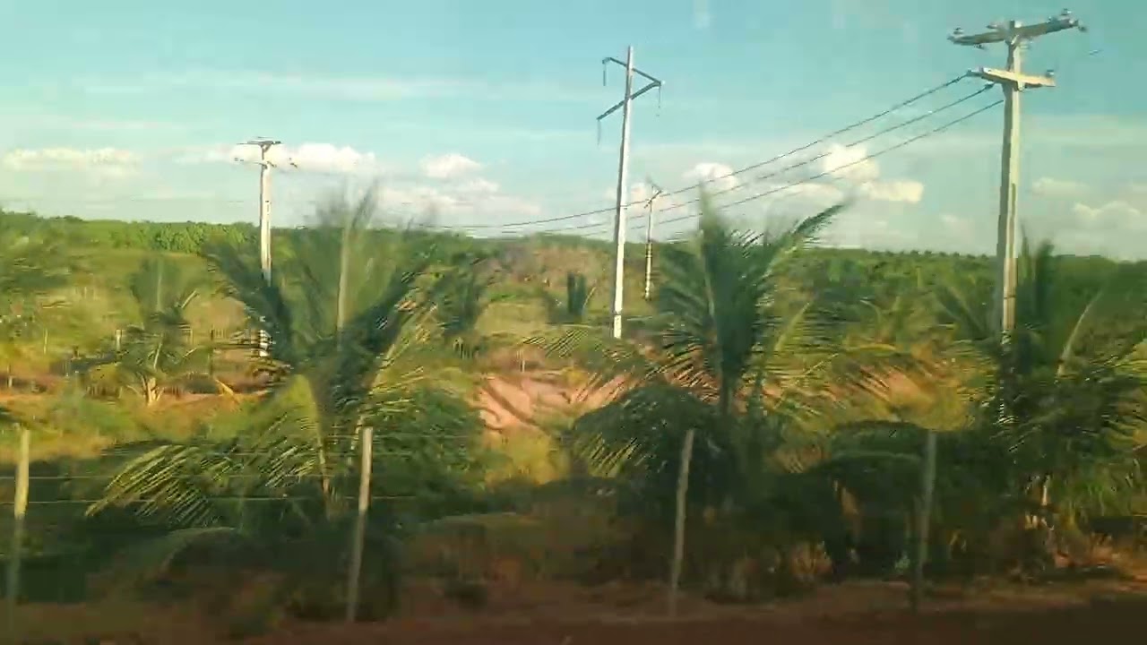 Vindo da fazenda agrícola