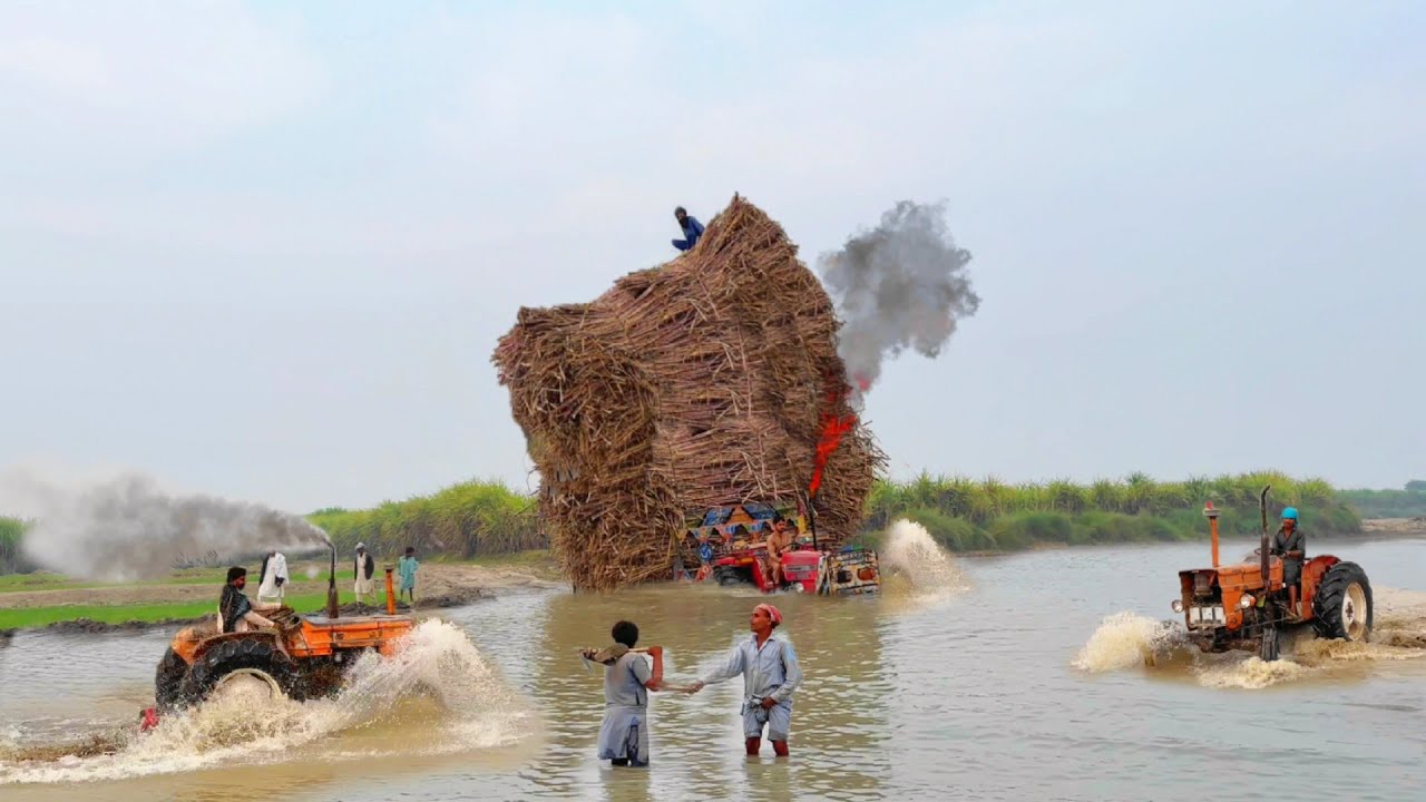 mf 385 tractor crossing river amazing video | fiat 480 tractor power show | Nadeem Vlog