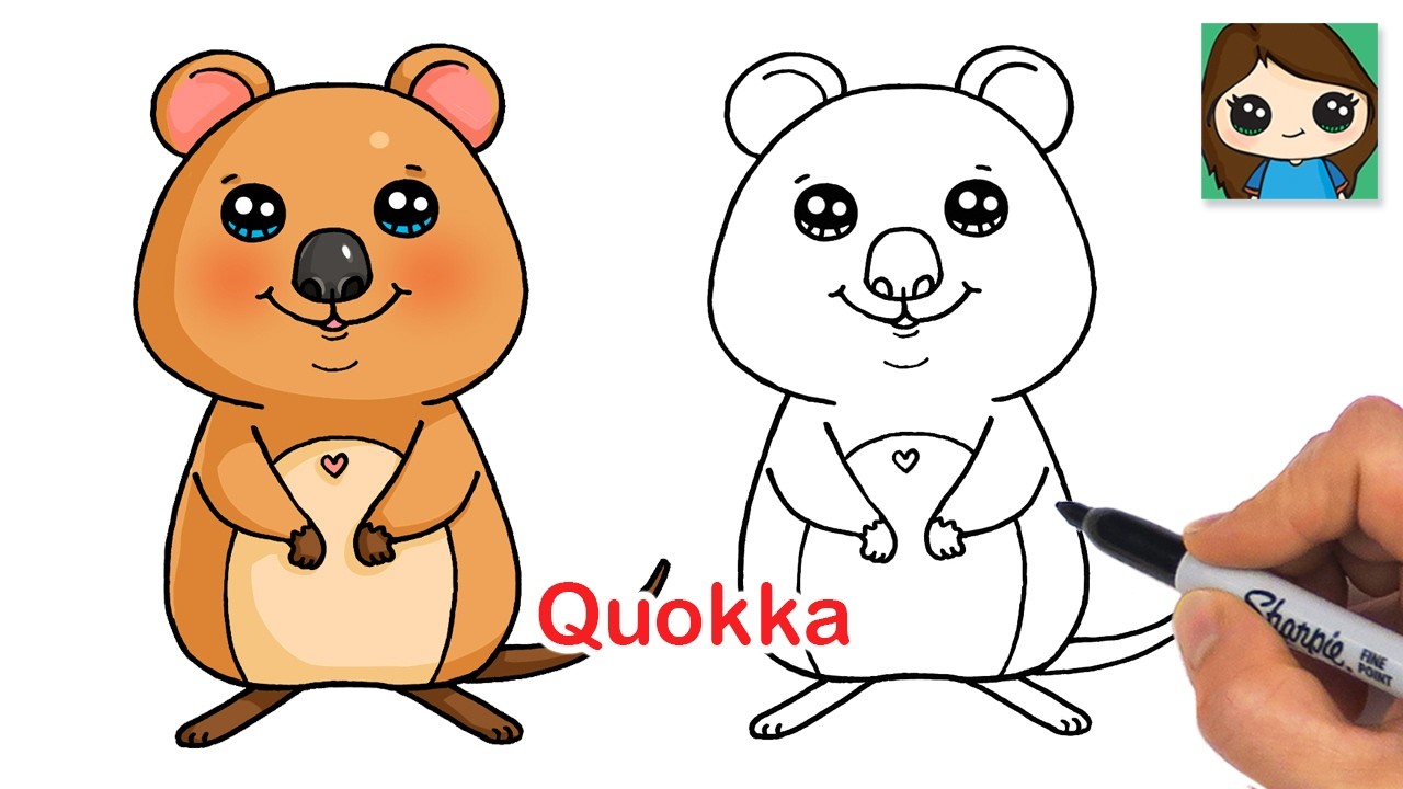 How to Draw a Quokka