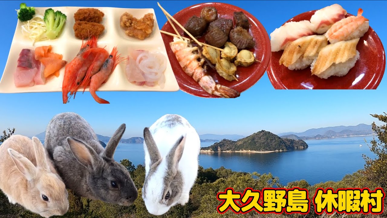 【大久野島】休暇村大久野島宿泊レビュー！広島県にあるうさぎ島で有名な大久野島唯一のホテル！牡蠣や穴子など広島グルメが揃ってる夕朝食ビュッフェ！宿泊者の特権でうさぎが活発化する夜と早朝に餌やりが可能！