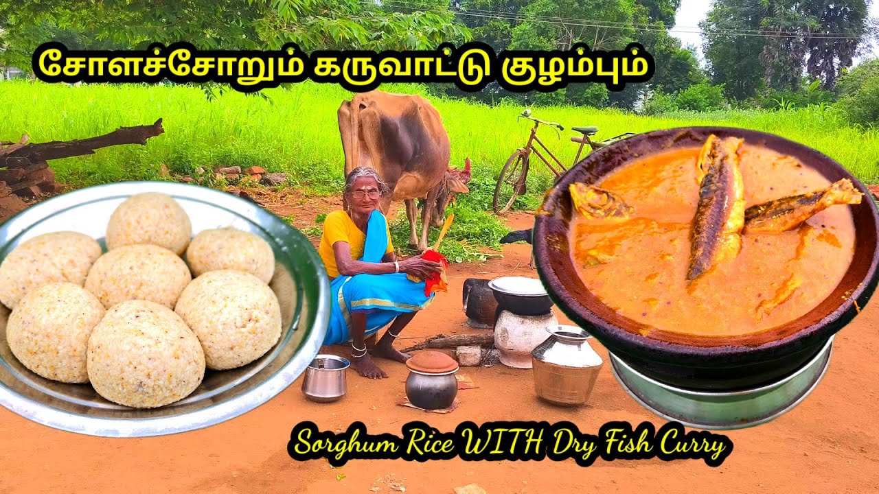 #பாரம்பரிய உணவு #சோளச்சோறு மற்றும் #கருவாட்டு குழம்பு l #traditional foods l #sorghum rice, #dryfish