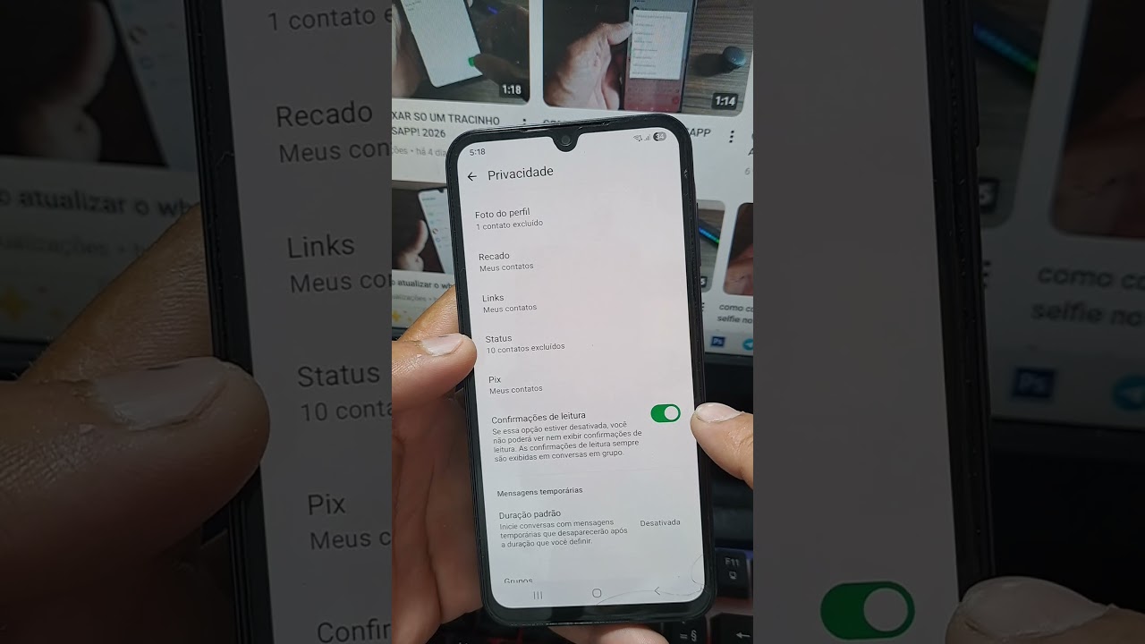 como saber quem visualizou seu status do WhatsApp 