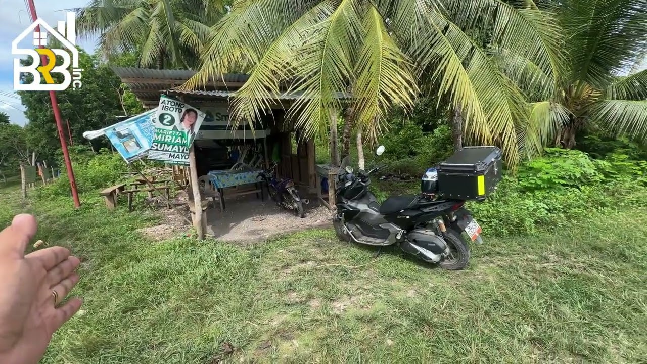 LITTLE JUNGLE FOR SALE | 2804 SQM | TITLED | DAUIS PANGLAO ISLAND OF BOHOL PHILIPPINES