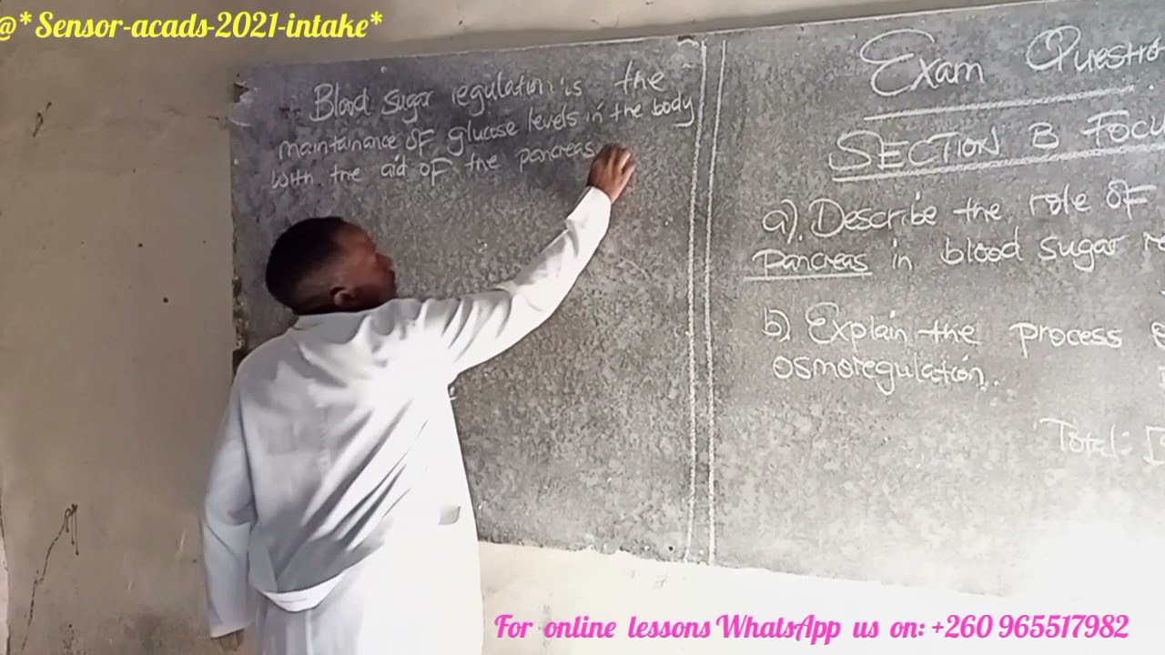 Biology Paper 2 Essay writing (Exam Preparation)