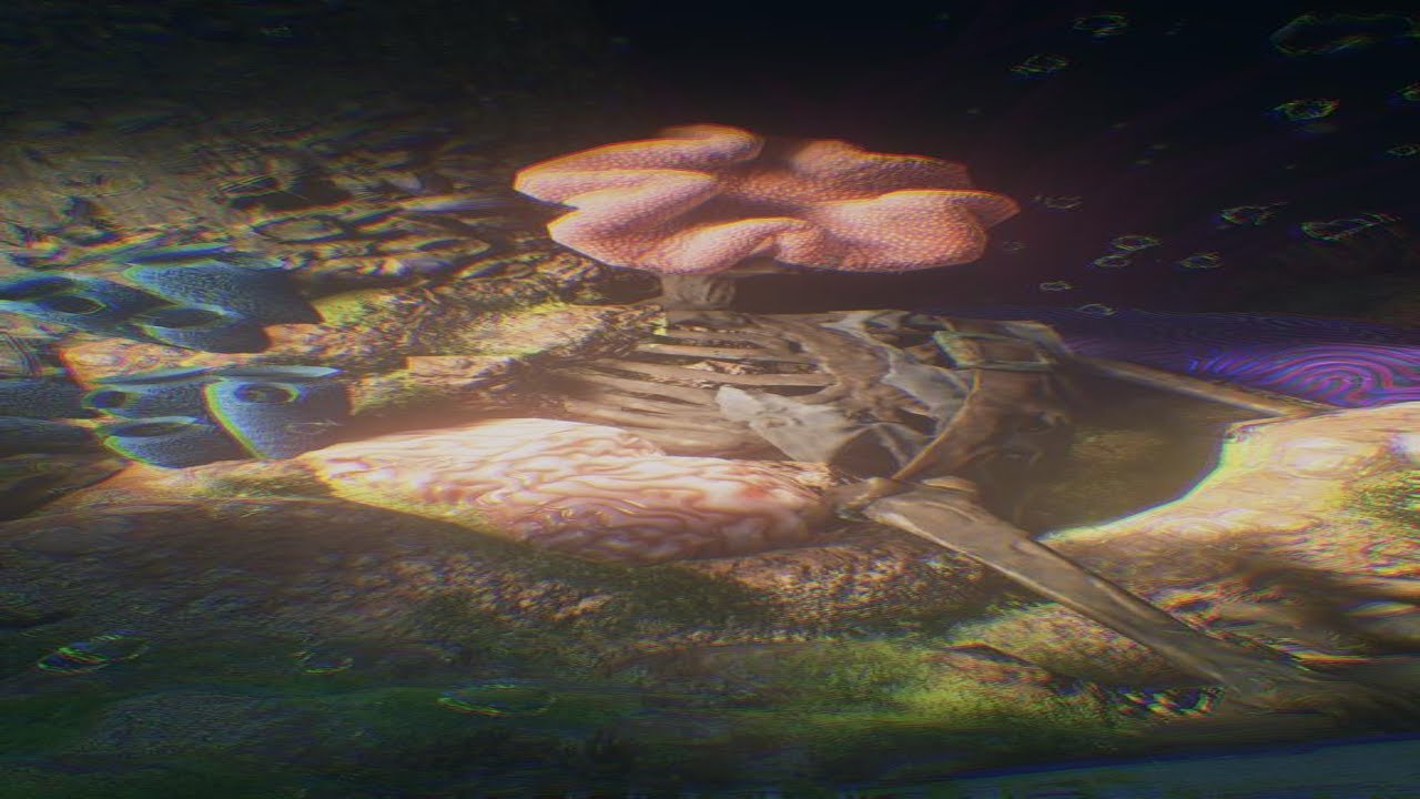 Отсылка к The last of us в Uncharted 4: Путь вора.
