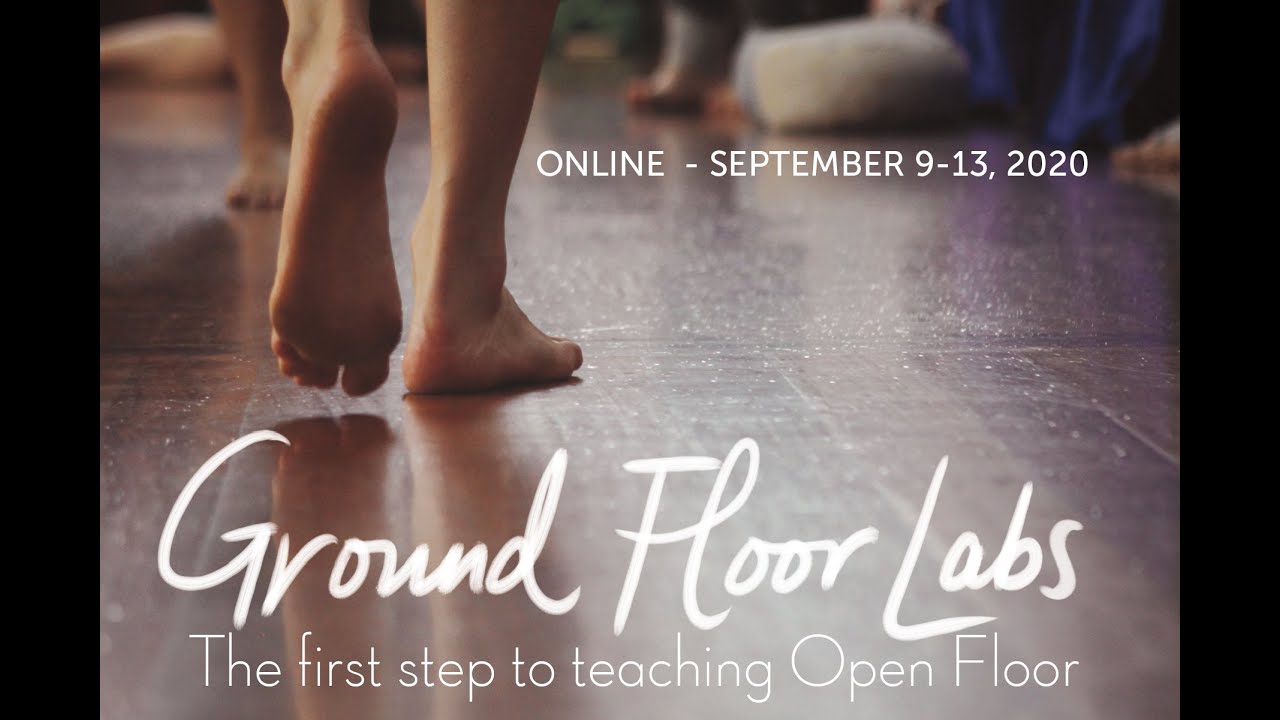 Meet the Teachers of the Online Open Floor Ground Floor Lab
