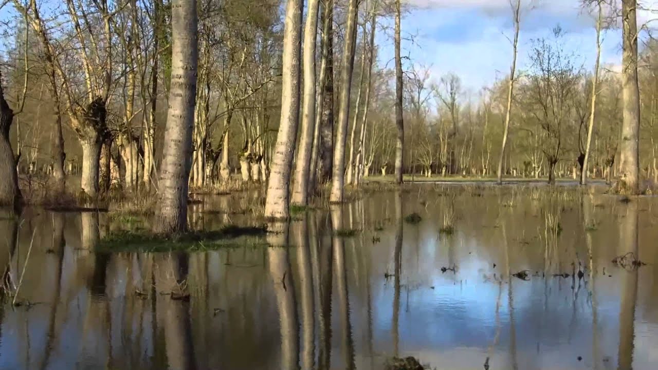 Ride into the wild Marais Poitevin