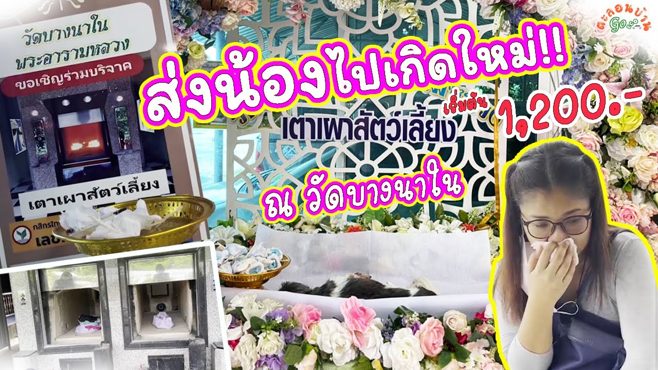 วัดบางนาใน เผาน้องหมาเริ่มต้น 1,200 บาท ส่งปีโป้ไปเกิดใหม่
