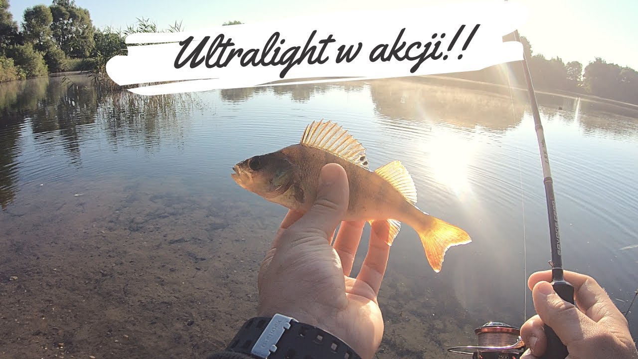 Okonie i wzdręgi na spinning | Spinning latem | Vlog 3