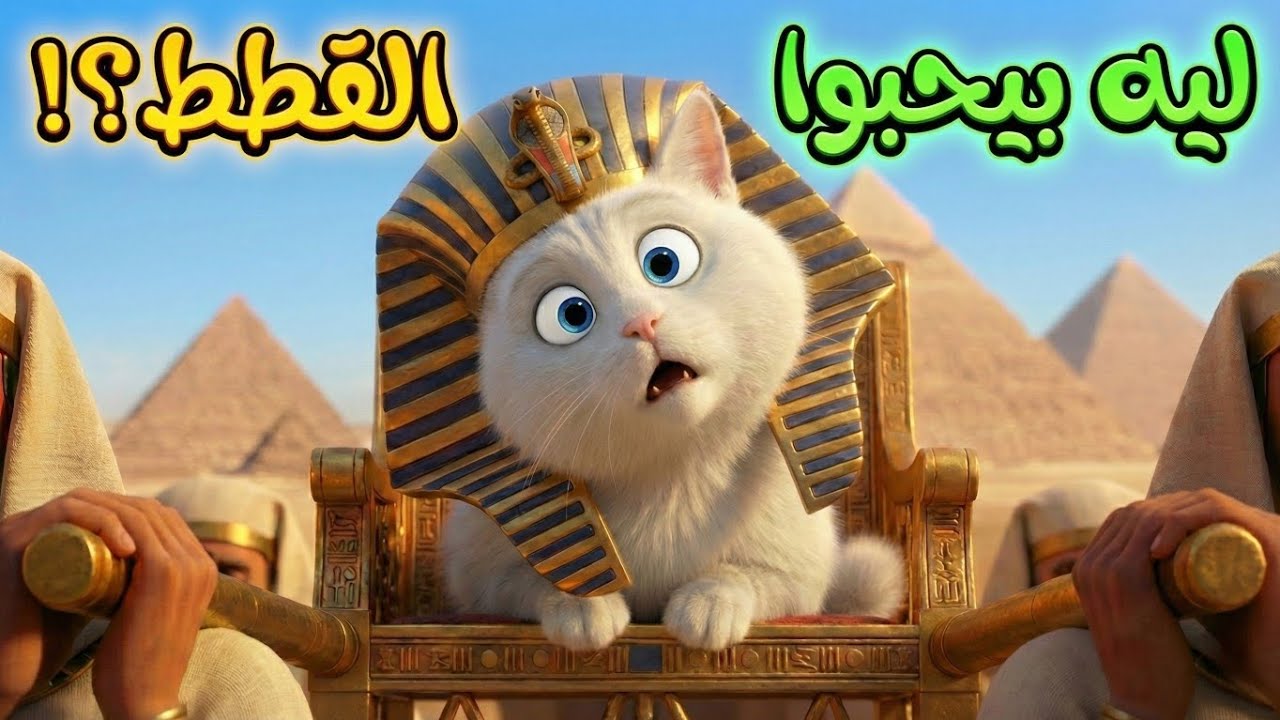 بيحلقوا حواجبهم حزناً عليها؟! ليه القدماء المصريين كانوا بيقدسوا القطط؟
