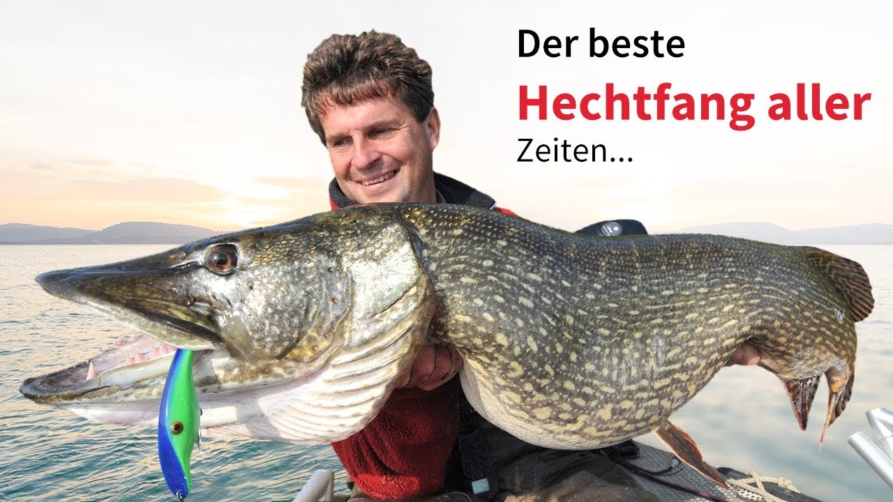 Riesenhechte Angeln - der beste Hechtfang aller Zeiten?
