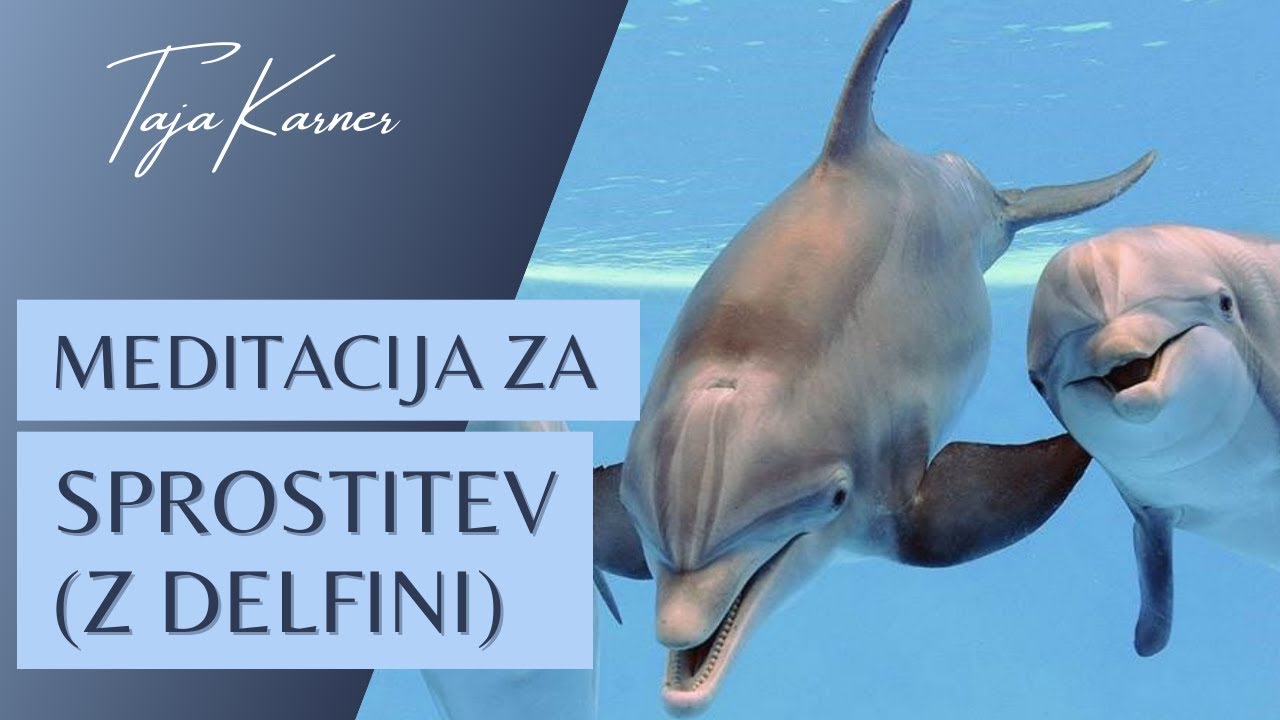 Meditacija za sprostitev s pomočjo podvodnega sveta in delfinov - Taja Karner