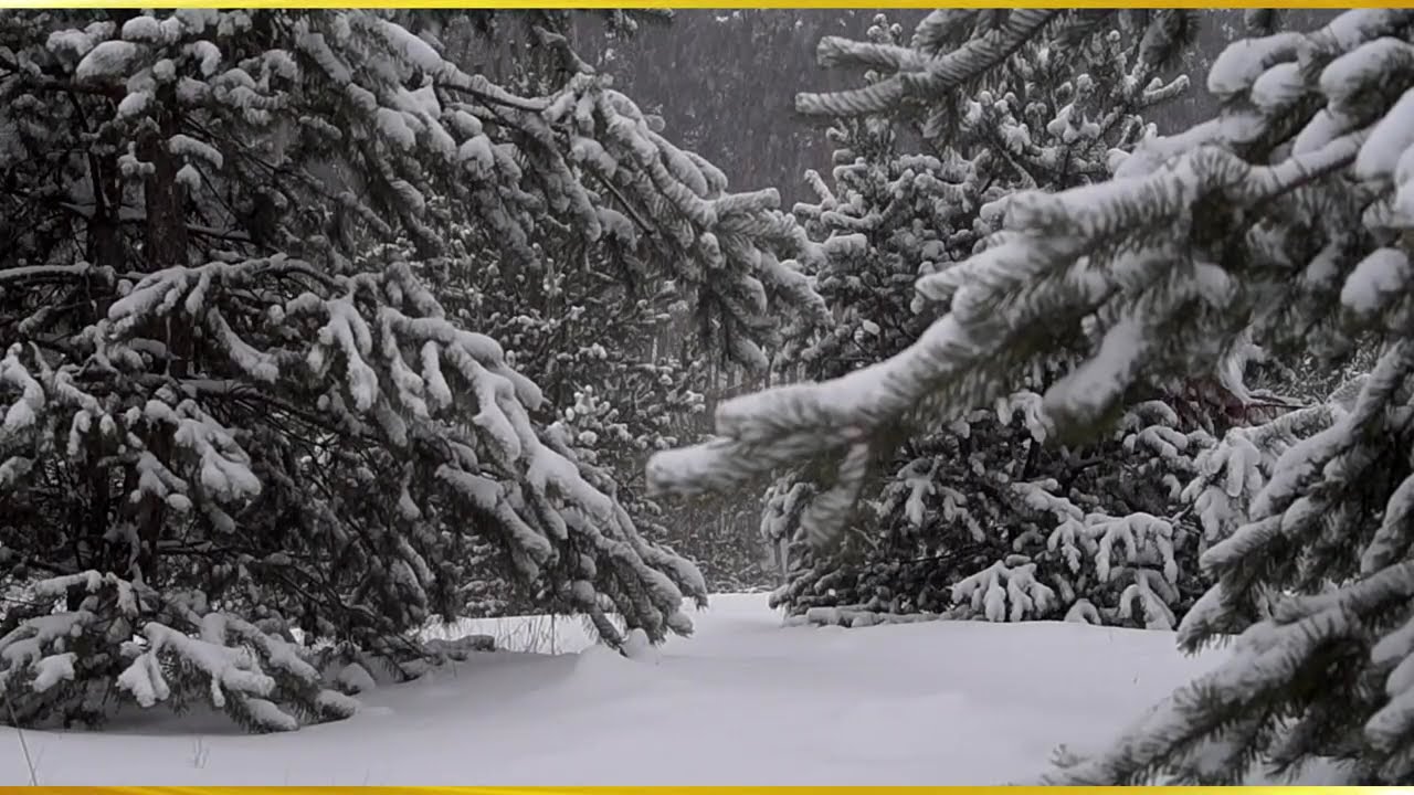 Fall Asleep in Minutes | Heavy Snow Falling for Deep Sleep, Meditation and Insomnia Relief