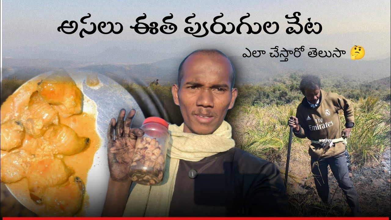 ఈత పురుగుల వేట | ఇదే మాకు ఈరోజు కూర 😍