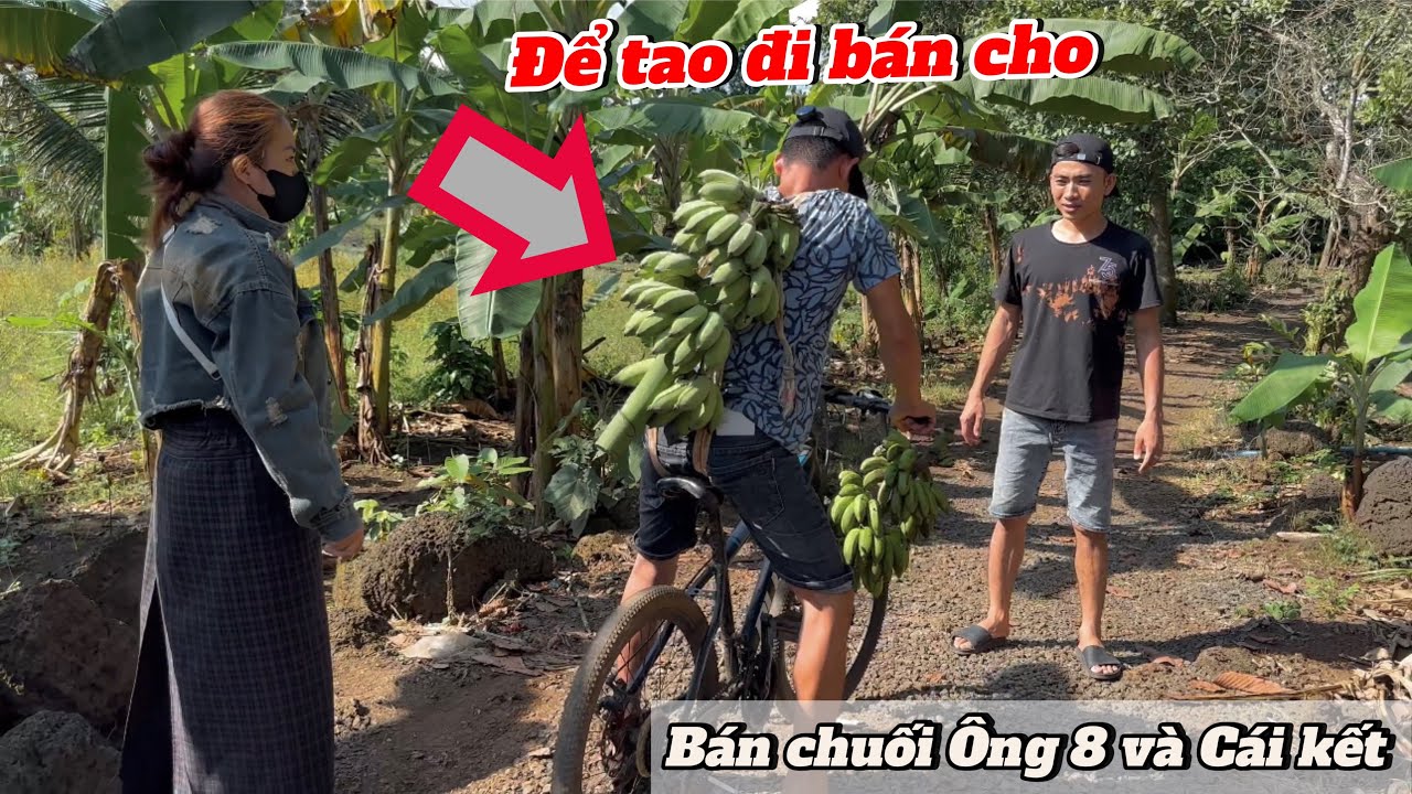Ba Con Báo lén lấy chuối nhà Ông 8 đi bán và Cái kết