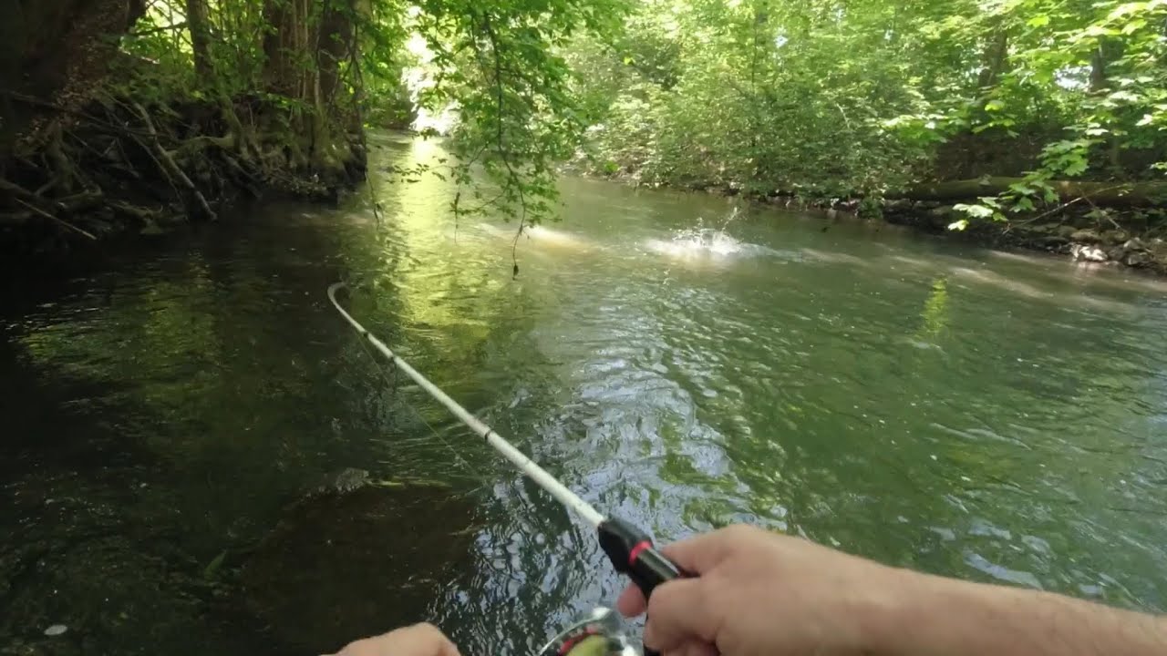 Pescuit Zetea iunie 2023 - Ziua 1 [Wild trout fishing]