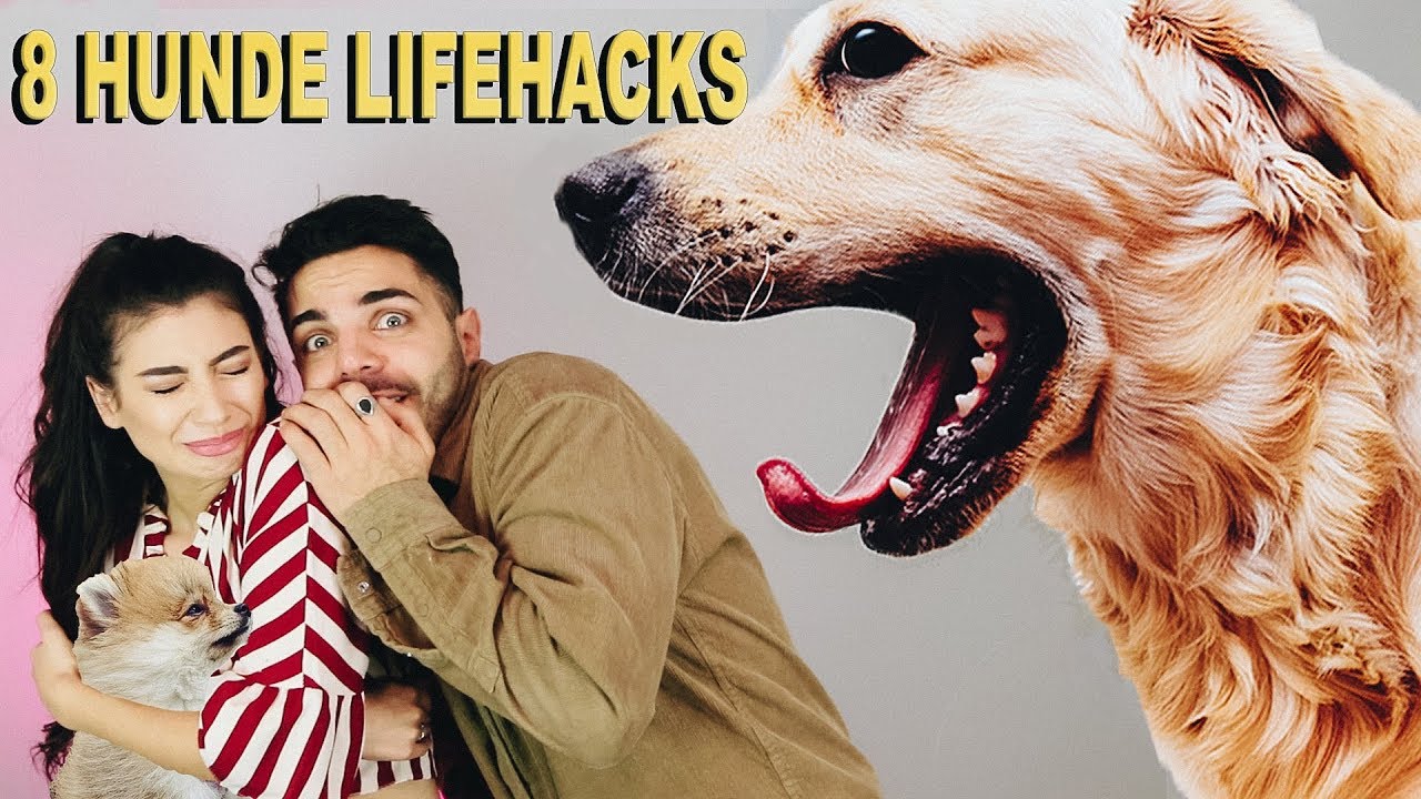 8 HUNDE Lifehacks mit PAOLA MARIA (+ Mega Gewinnspiel)