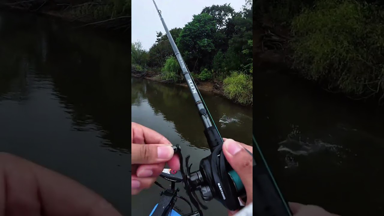 Catching Bass on a Seemingly Peaceful Lake🌊🐟#bassfishing #lurefishing