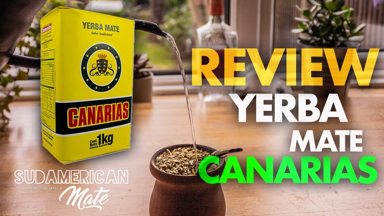 PROBANDO YERBA CANARIAS por primera vez!