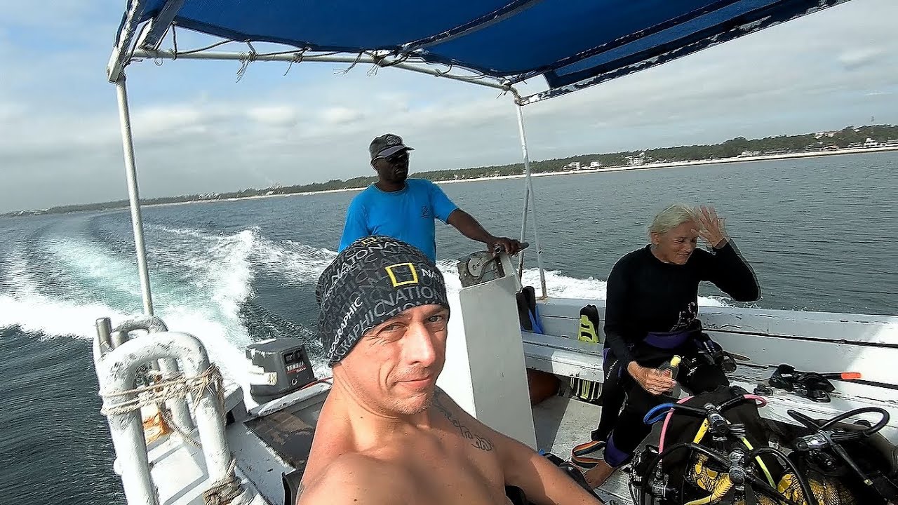 SHARK POINT - Tropical Divin Kenya - Mombasa - SpiritDiver HD